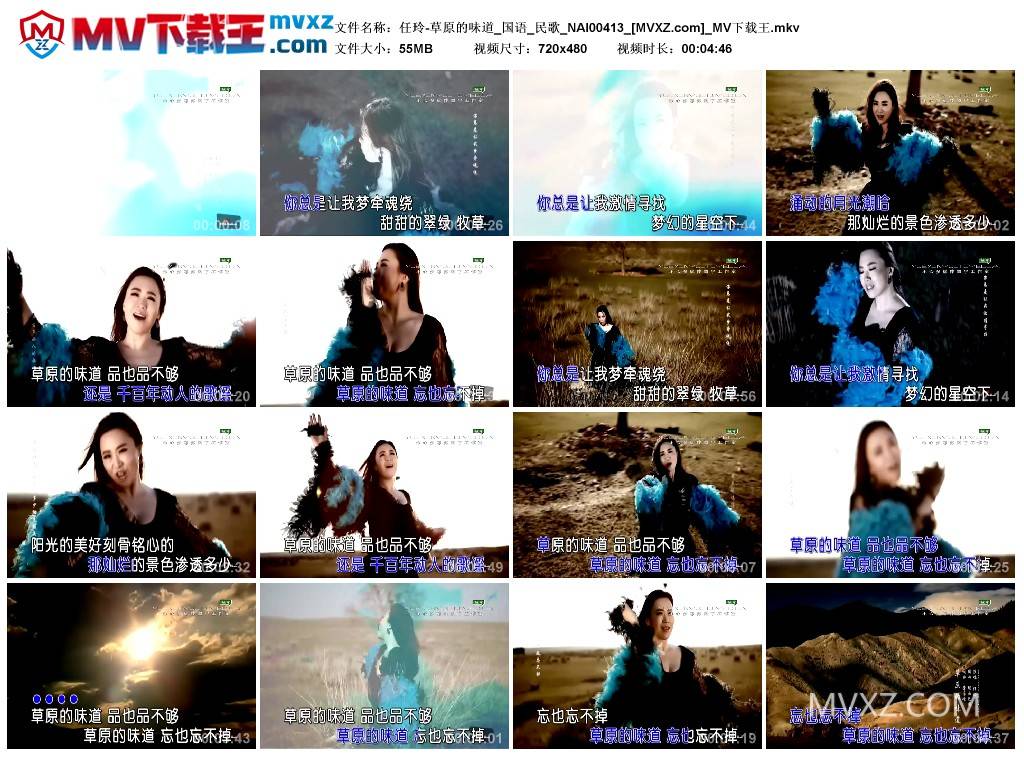 任玲-草原的味道_国语_民歌_NAI00413